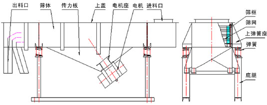 直線振動篩內(nèi)部結(jié)構(gòu)：出料口，篩體，傳力板，上蓋，電機(jī)座，電機(jī)，進(jìn)料口，篩框，篩網(wǎng)，上彈簧座，彈簧，底腿。